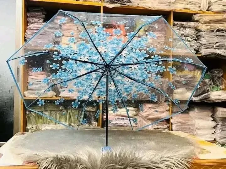 Transparent & Cute Umbrella – Stylish Protection from Rain & Sun | Uncommon Imported Design