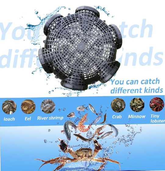 (৩ পিস) ফিস ক্যাচিং ট্র্যাপ ৬ মাথা (১ পিস মেডিসিন ফ্রি)- (বড় সাইজ )